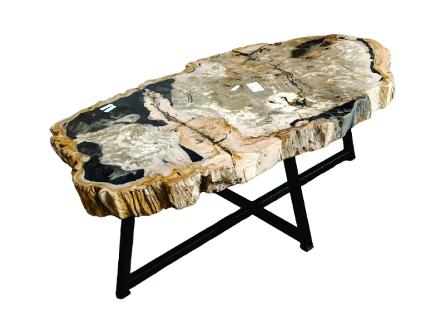 PETRIFIED - Long Coffee Table