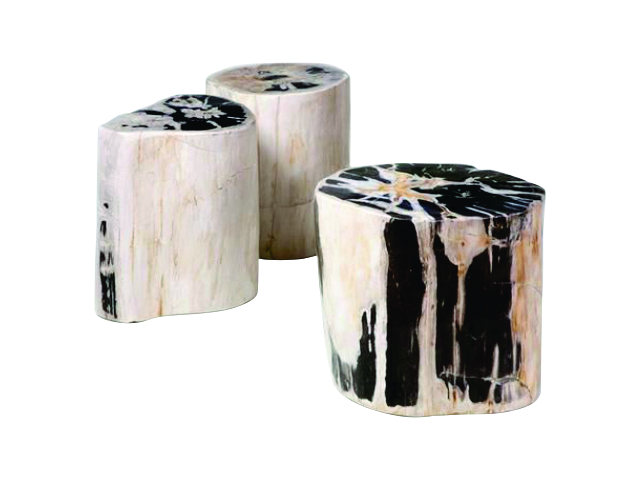 PETRIFIED - Round Side Table