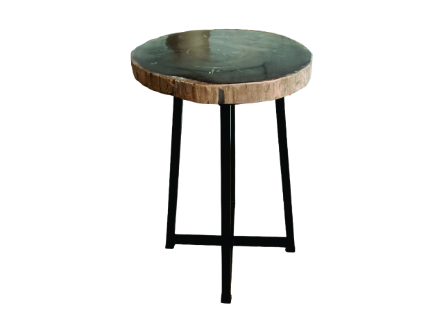 PETRIFIED SIDE TABLE