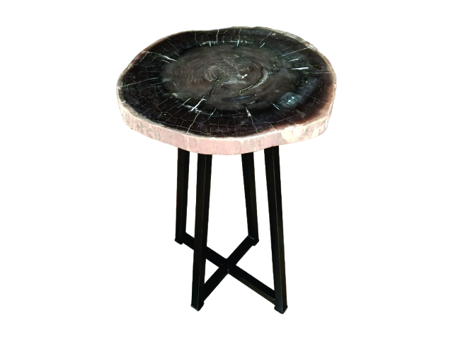 PETRIFIED SIDE TABLE