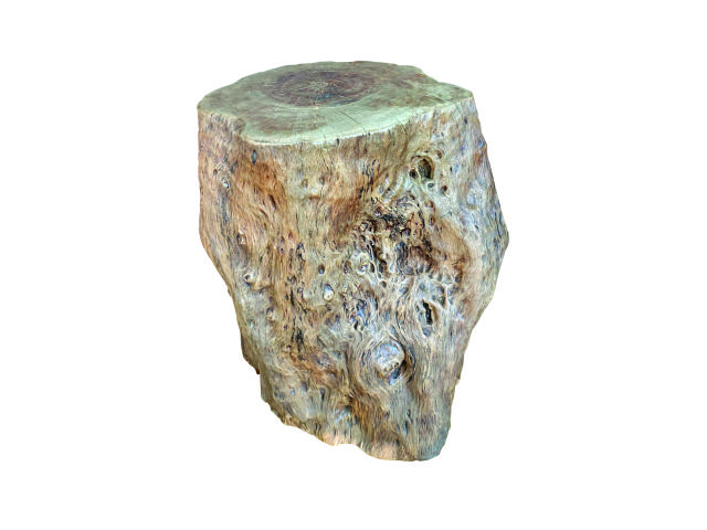 LYCHEEWOOD - Natural Stool