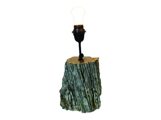 PETRIFIED - Table Lamp