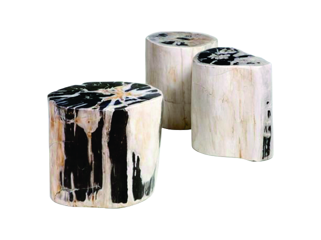 PETRIFIED - Round Side Table