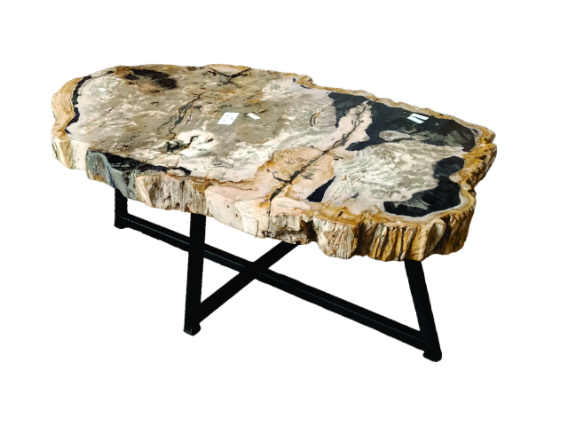 PETRIFIED - Long Coffee Table