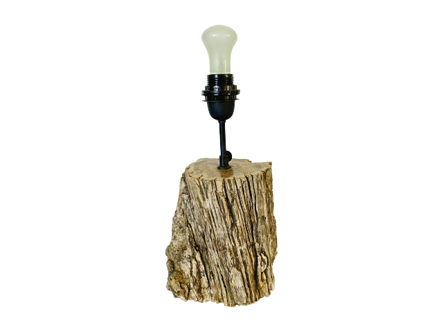 PETRIFIED - Table Lamp